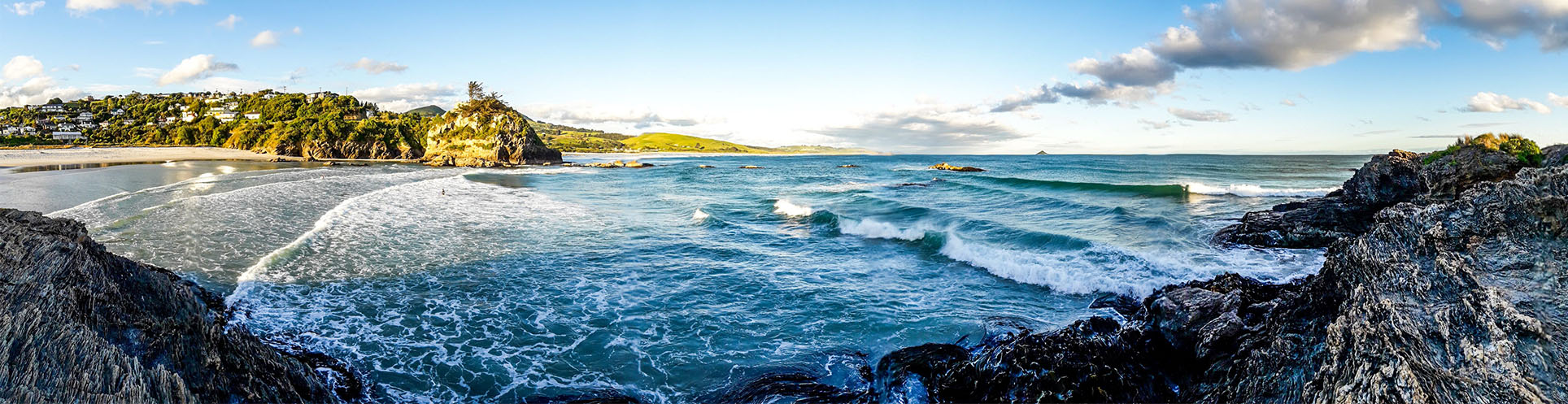 Homepage Banner 3 - NZ Owned